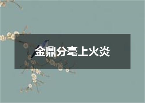 金鼎分毫上火炎