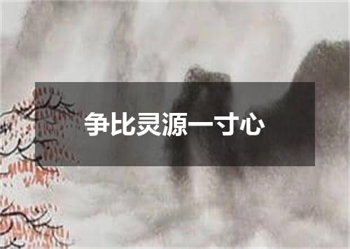 争比灵源一寸心