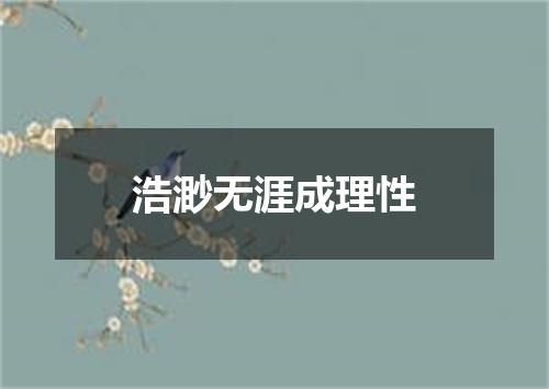 浩渺无涯成理性