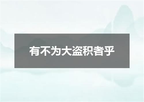 有不为大盗积者乎