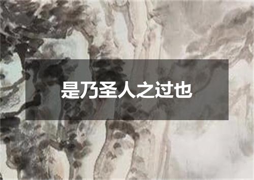 是乃圣人之过也