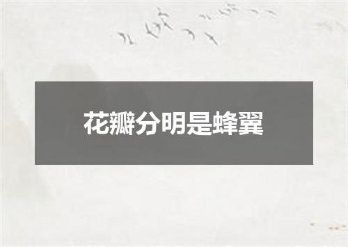 花瓣分明是蜂翼