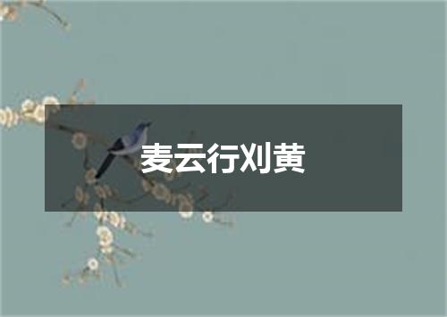麦云行刈黄