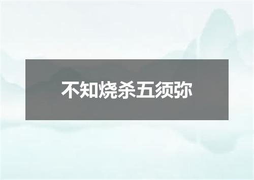 不知烧杀五须弥