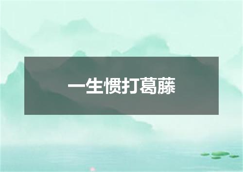 一生惯打葛藤
