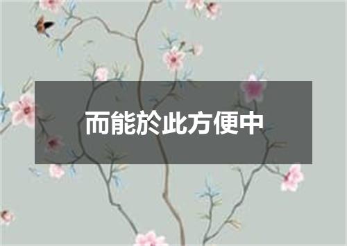 而能於此方便中