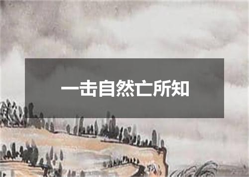 一击自然亡所知