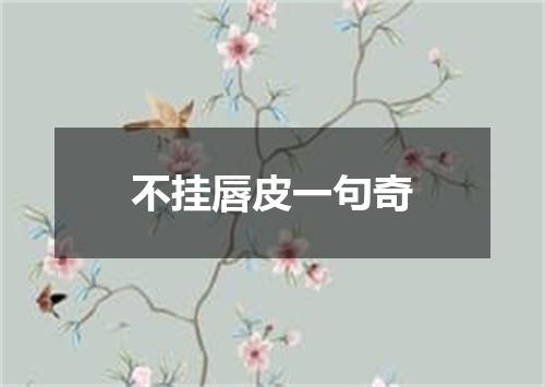 不挂唇皮一句奇