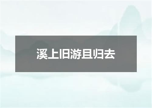 溪上旧游且归去