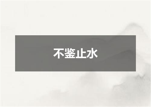 不鉴止水