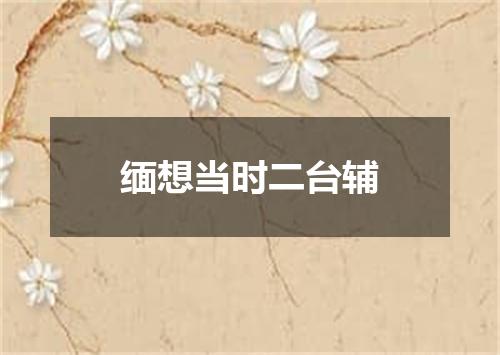 缅想当时二台辅
