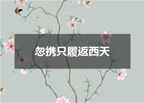 忽携只履返西天