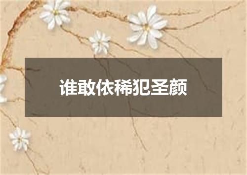 谁敢依稀犯圣颜