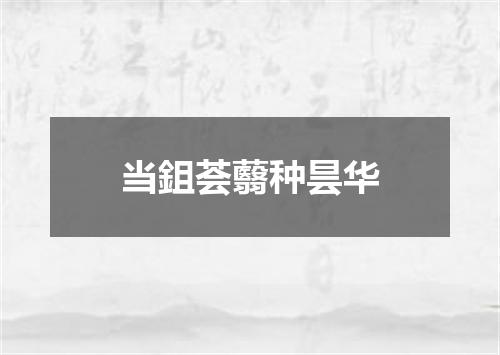 当鉏荟蘙种昙华