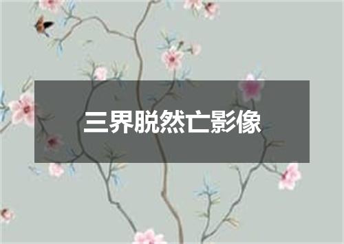 三界脱然亡影像