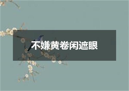 不嫌黄卷闲遮眼