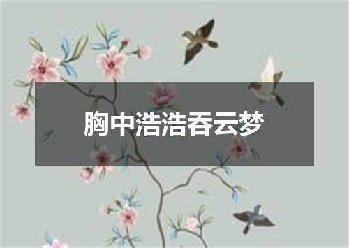 胸中浩浩吞云梦