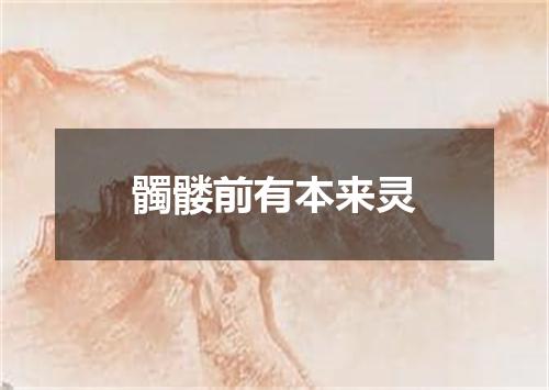 髑髅前有本来灵