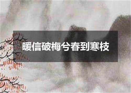 暖信破梅兮春到寒枝