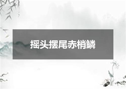 摇头摆尾赤梢鳞