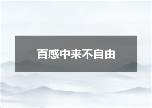 百感中来不自由