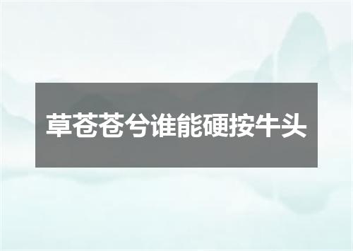 草苍苍兮谁能硬按牛头