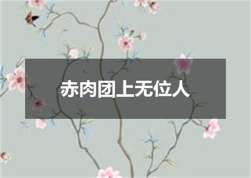 赤肉团上无位人