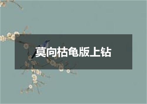 莫向枯龟版上钻