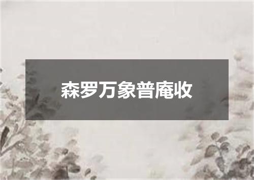 森罗万象普庵收