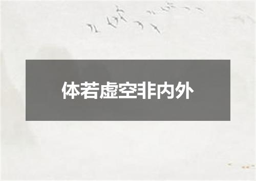 体若虚空非内外