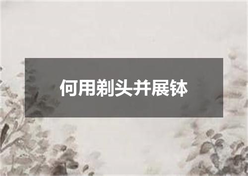 何用剃头并展钵