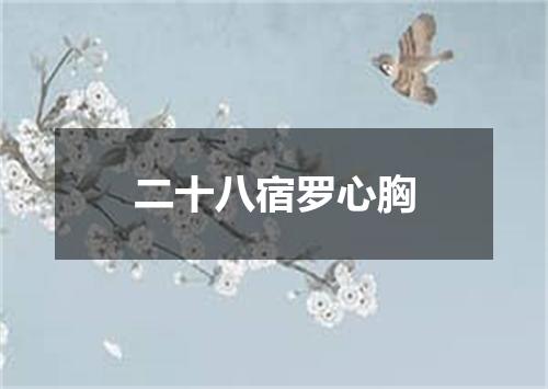 二十八宿罗心胸
