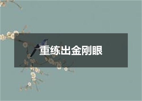 重练出金刚眼