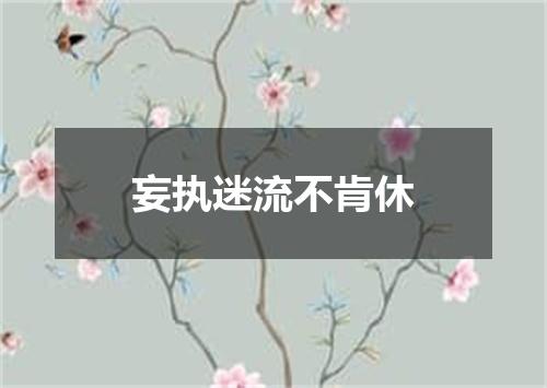 妄执迷流不肯休