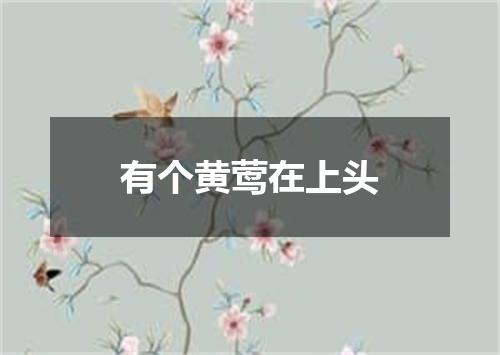 有个黄莺在上头