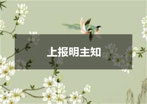 上报明主知