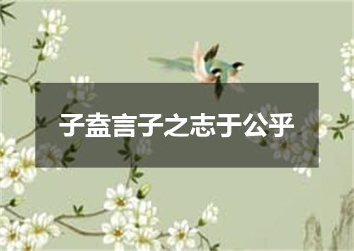 子盍言子之志于公乎