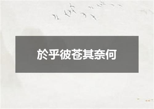 於乎彼苍其奈何