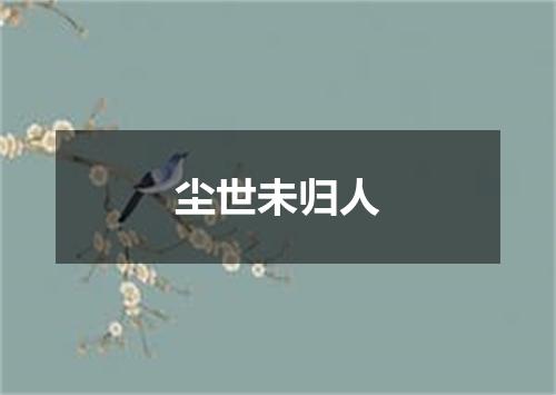 尘世未归人