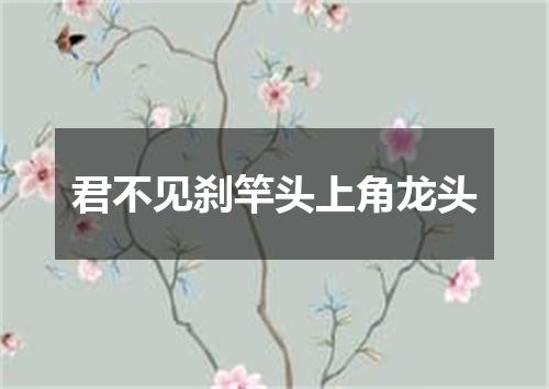 君不见刹竿头上角龙头