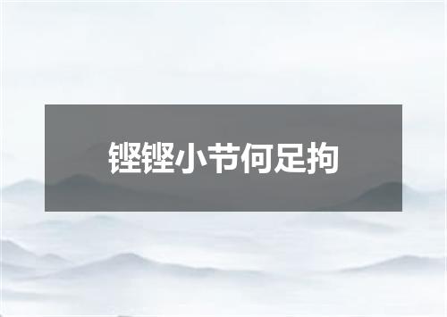 铿铿小节何足拘