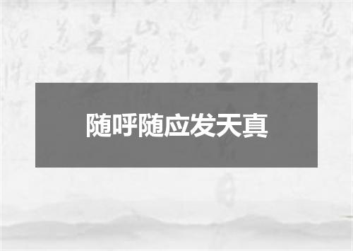 随呼随应发天真