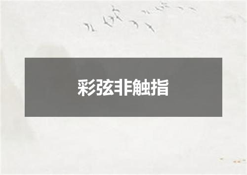 彩弦非触指