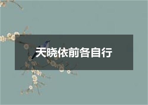 天晓依前各自行