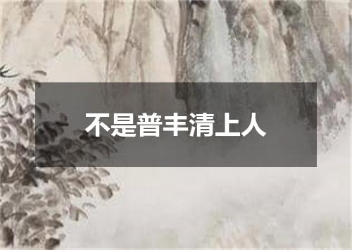 不是普丰清上人