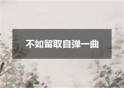 不如留取自弹一曲