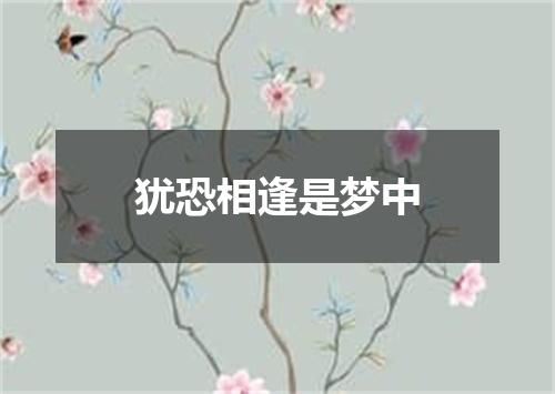 犹恐相逢是梦中