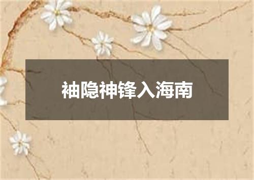 袖隐神锋入海南