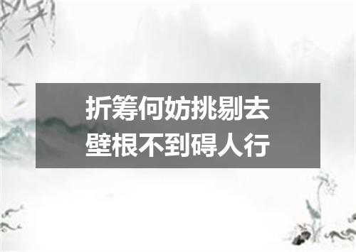 折筹何妨挑剔去壁根不到碍人行