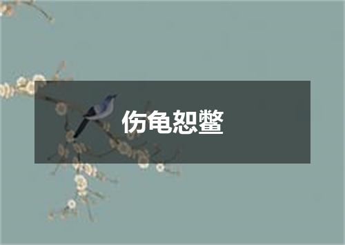 伤龟恕鳖